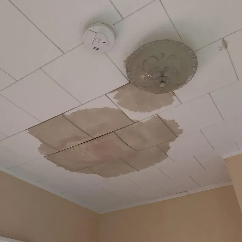 Ceiling Water Damage Repair in Natrona County, WY