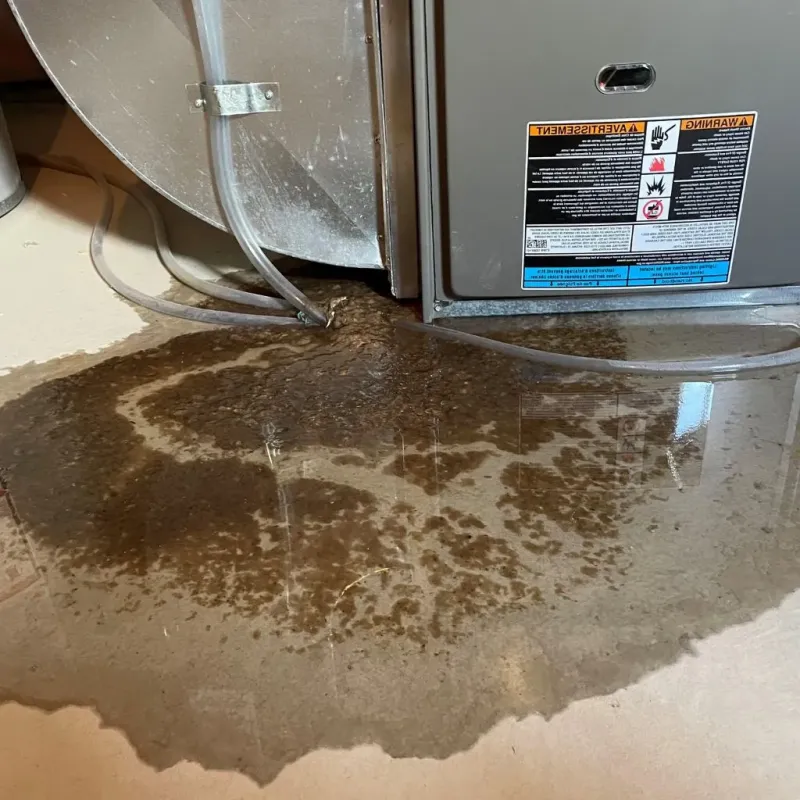 Pipe Burst and Leak Restoration in Natrona County, WY