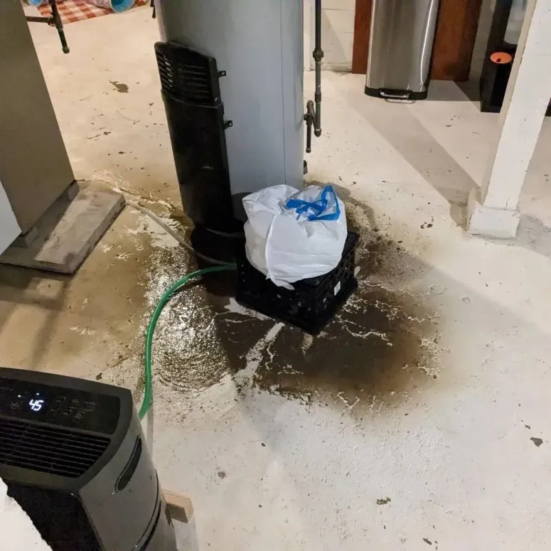 Sewage Backup Cleanup Service in Natrona County, WY